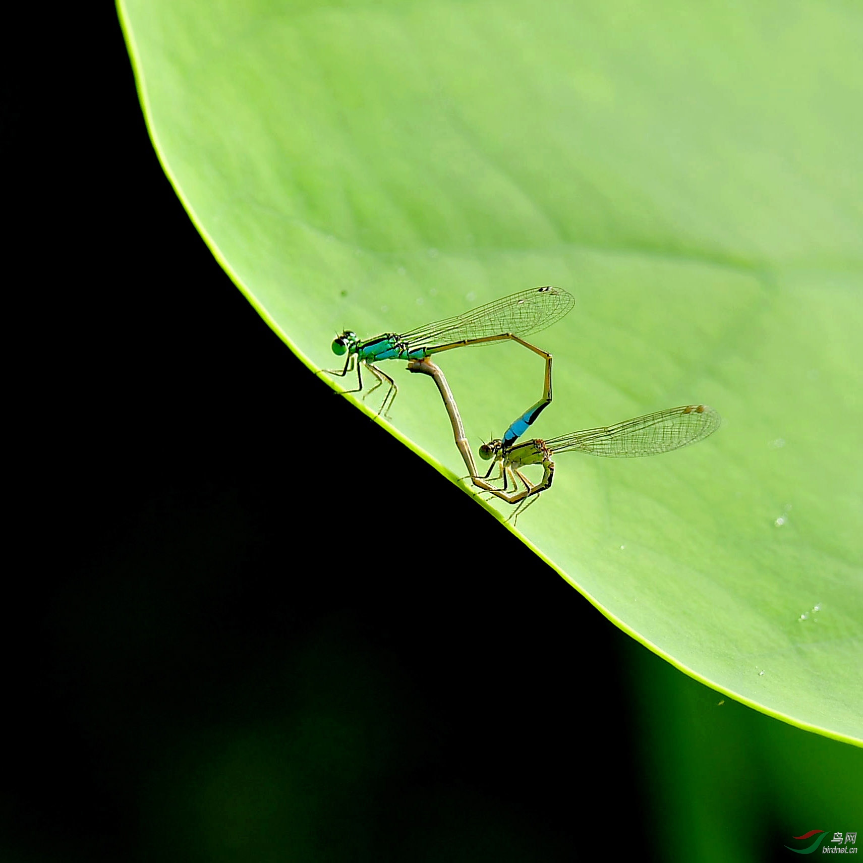 DSC_0940_����_����.jpg