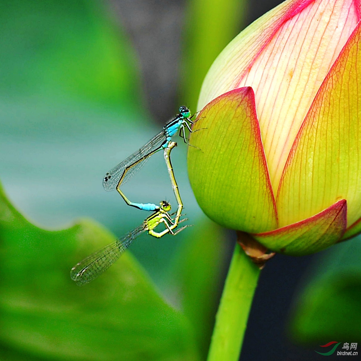 DSC_0765_����.jpg