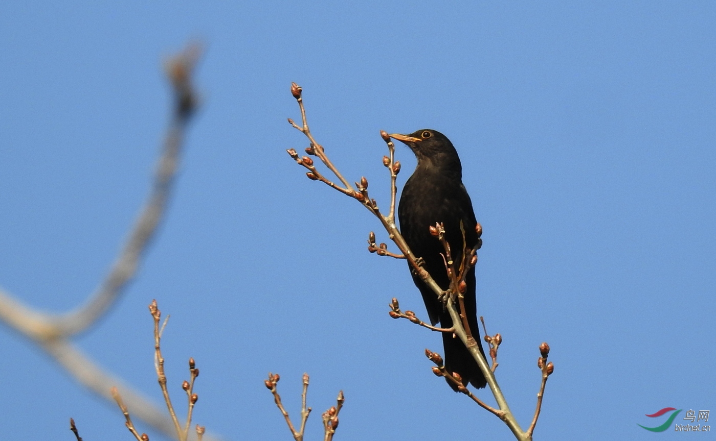 DSCN9147.JPG