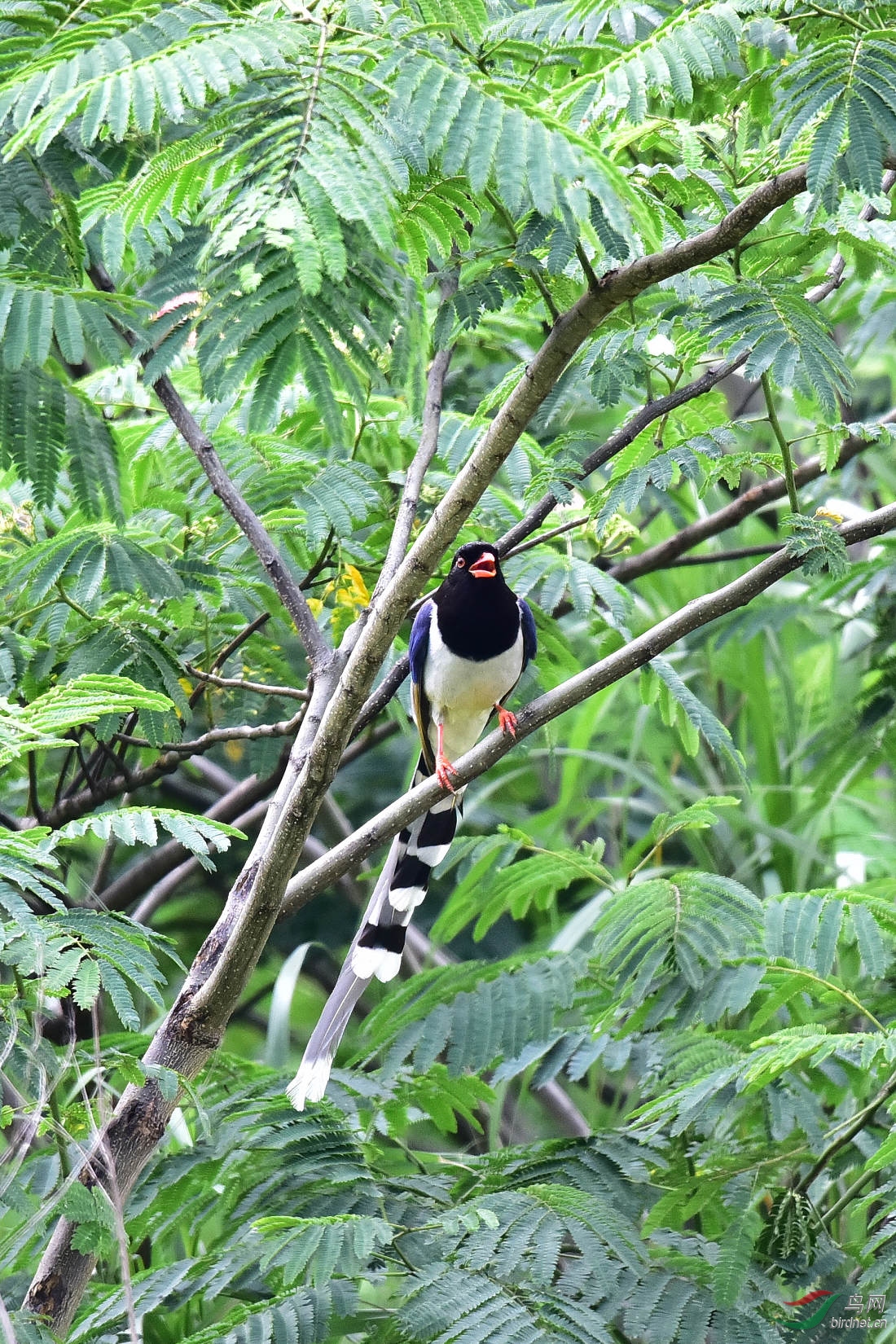 DSC_0734.JPG