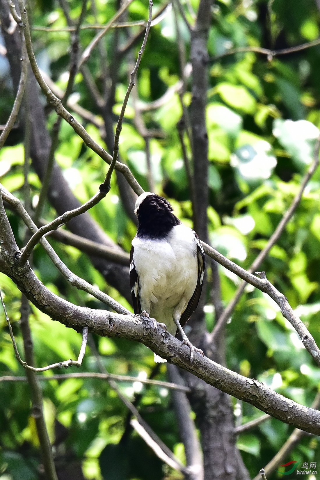 DSC_0313.JPG