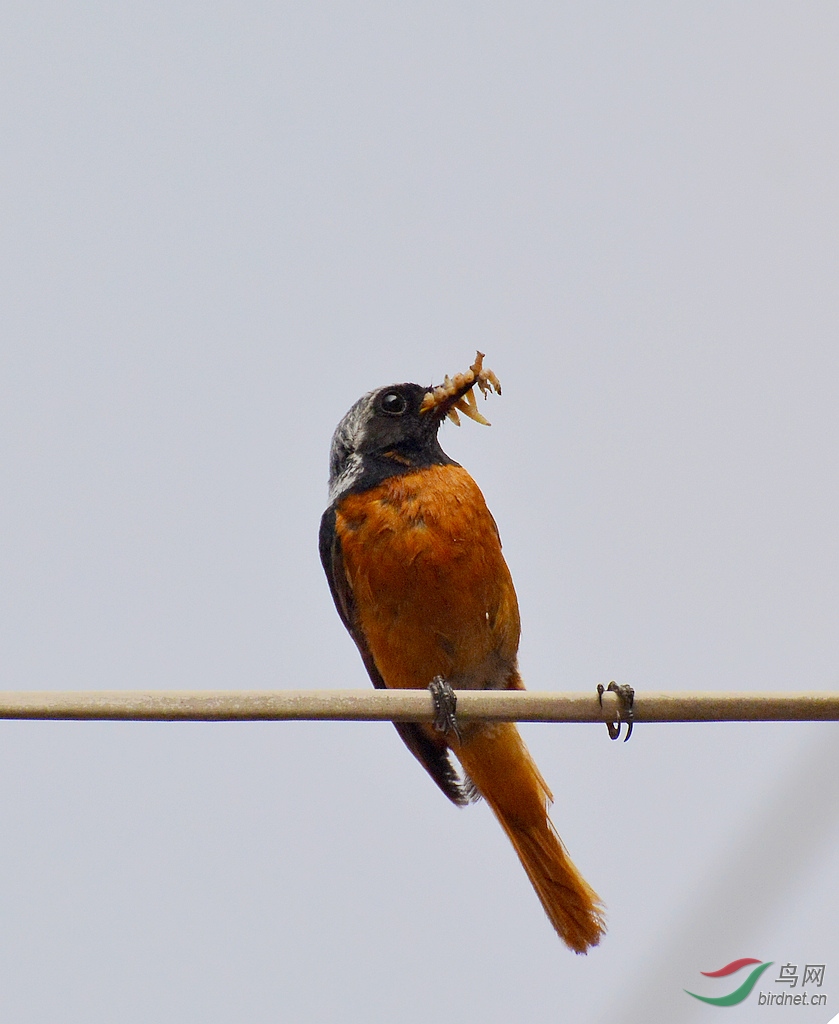 DSC_8907.JPG