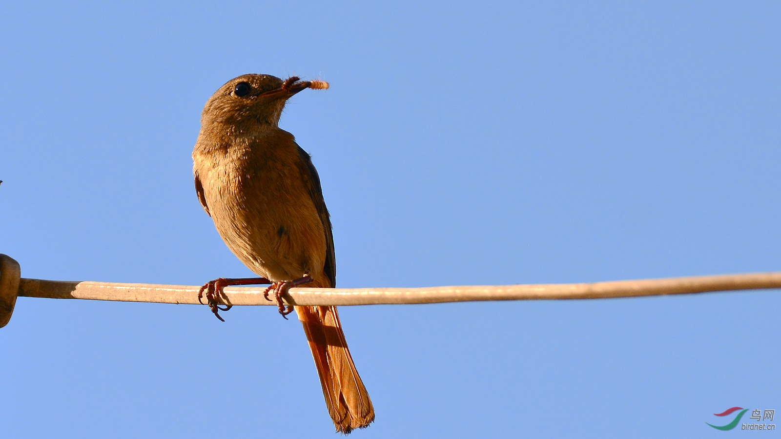 DSC_8477.JPG