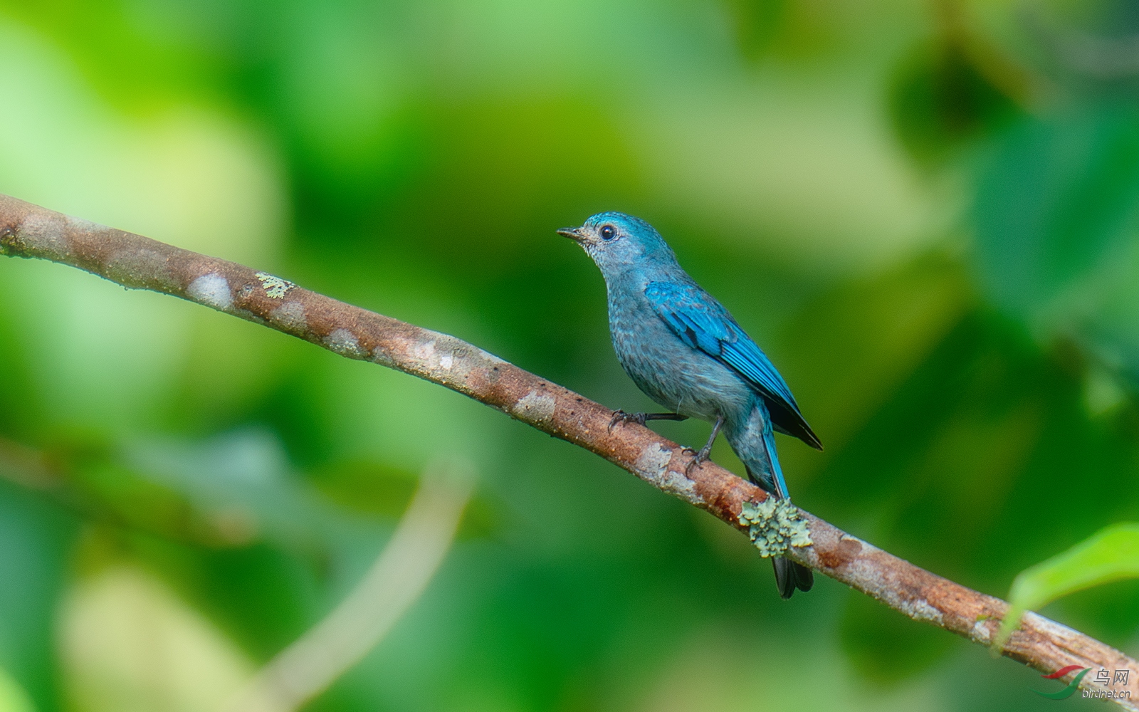 DSC09170-1.jpg