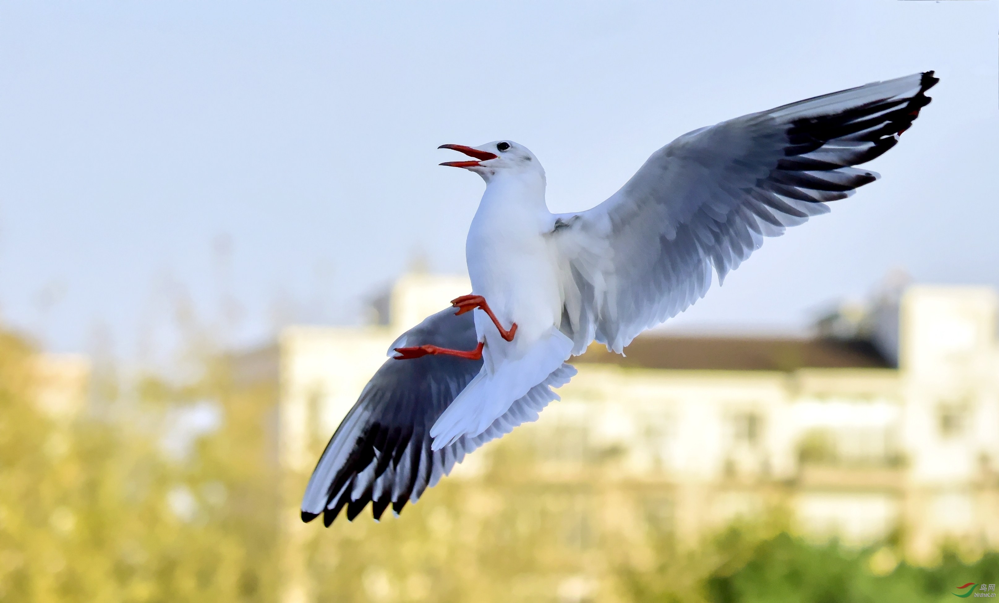 DSC_7914_conew3.jpg