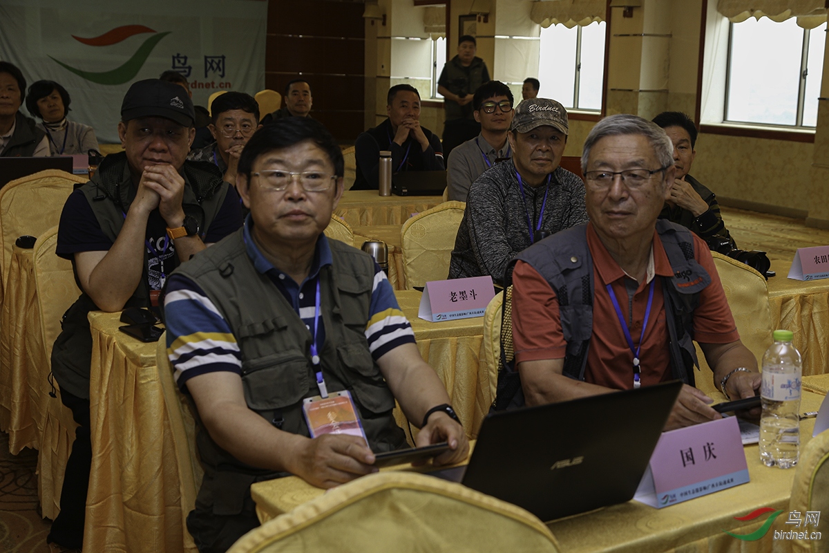 国庆拍鸟和长喜长乐�