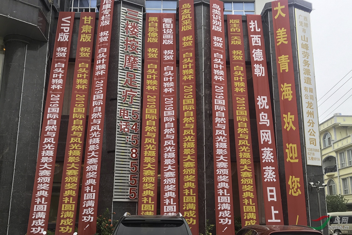 鸟网各版块的祝贺条幅已经准备就绪1.jpg