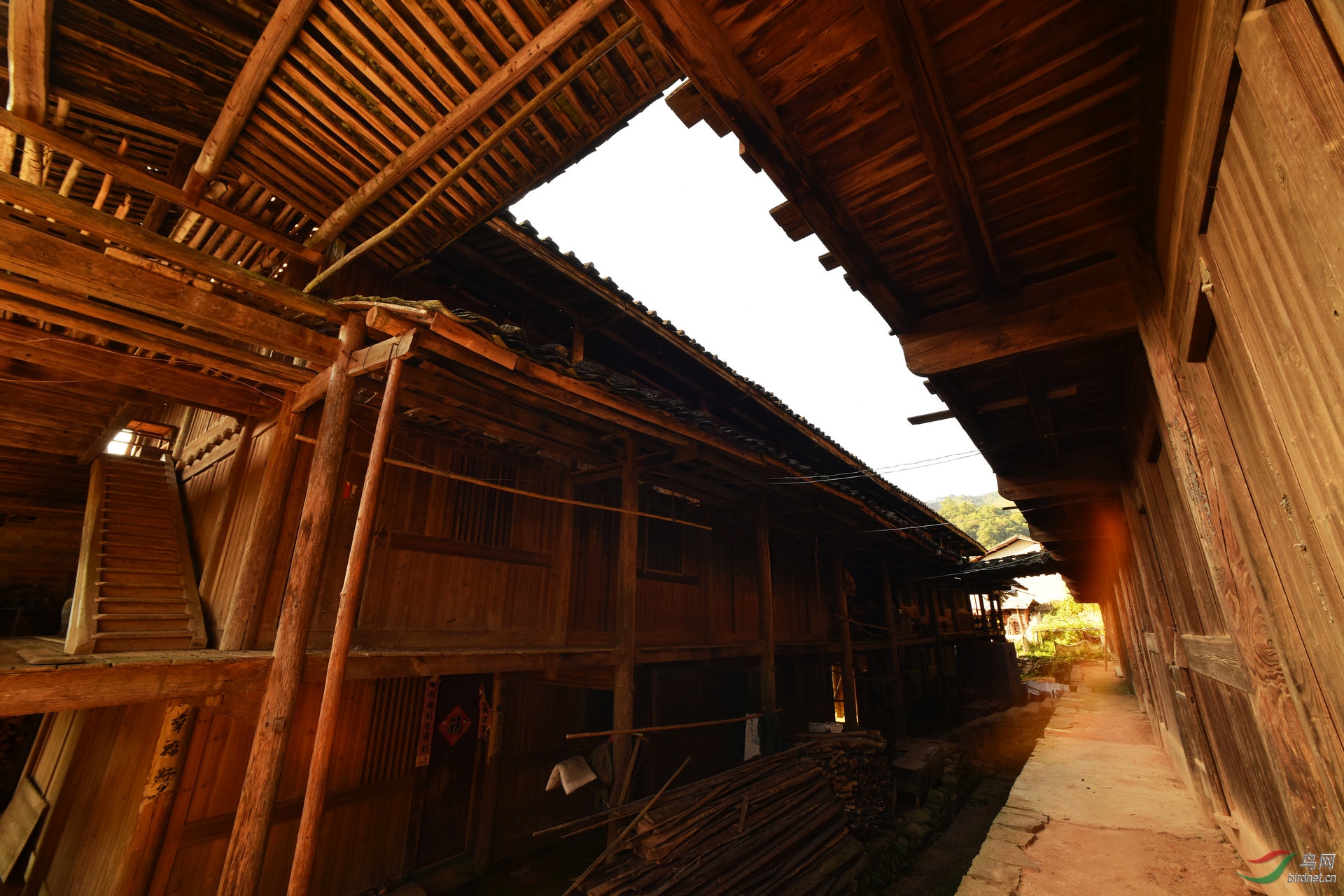 D8I_8670.jpg