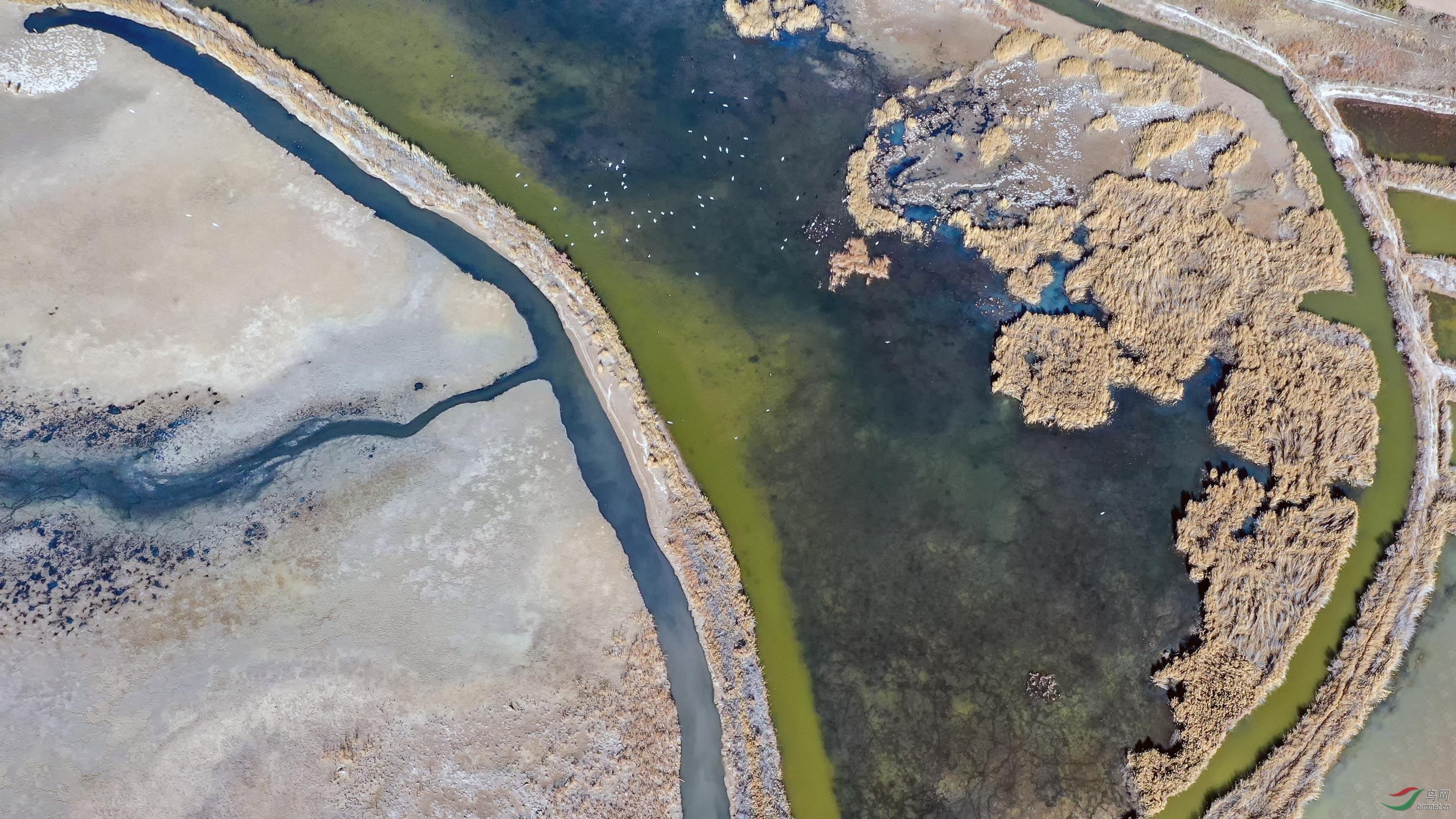 DJI_0068_������.jpg--nc_������.jpg