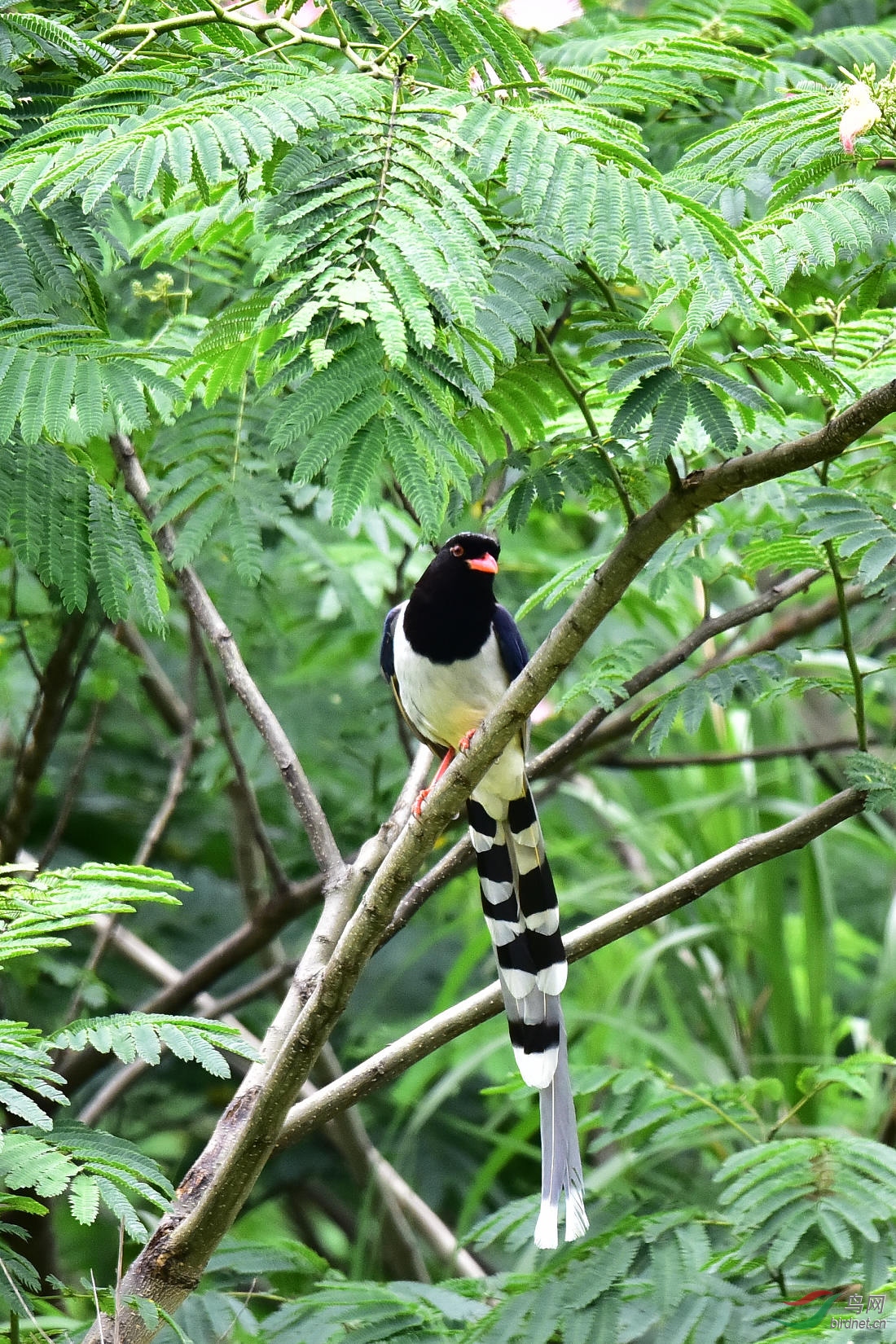 DSC_0737.JPG