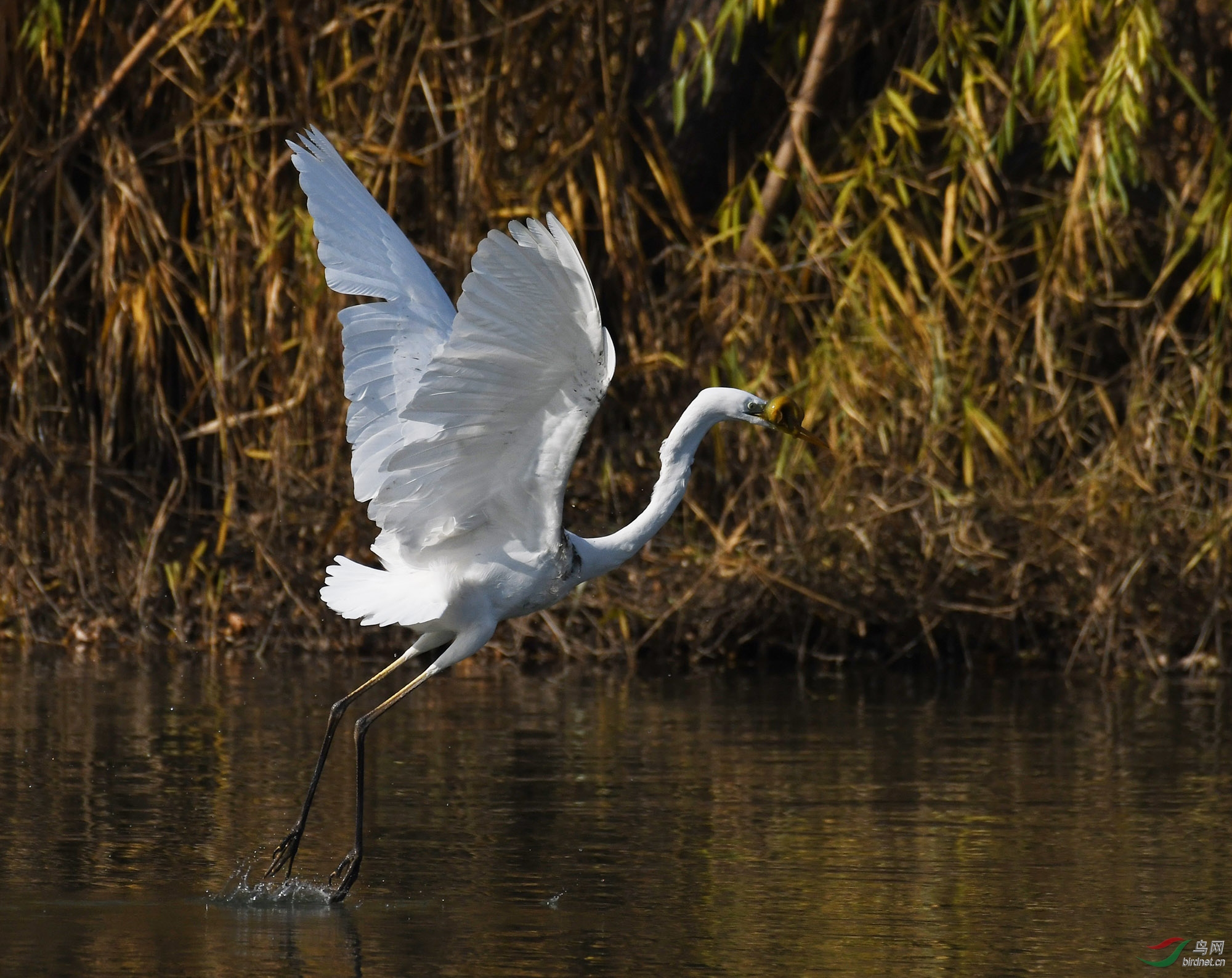 ������Ӱ 1796����.jpg