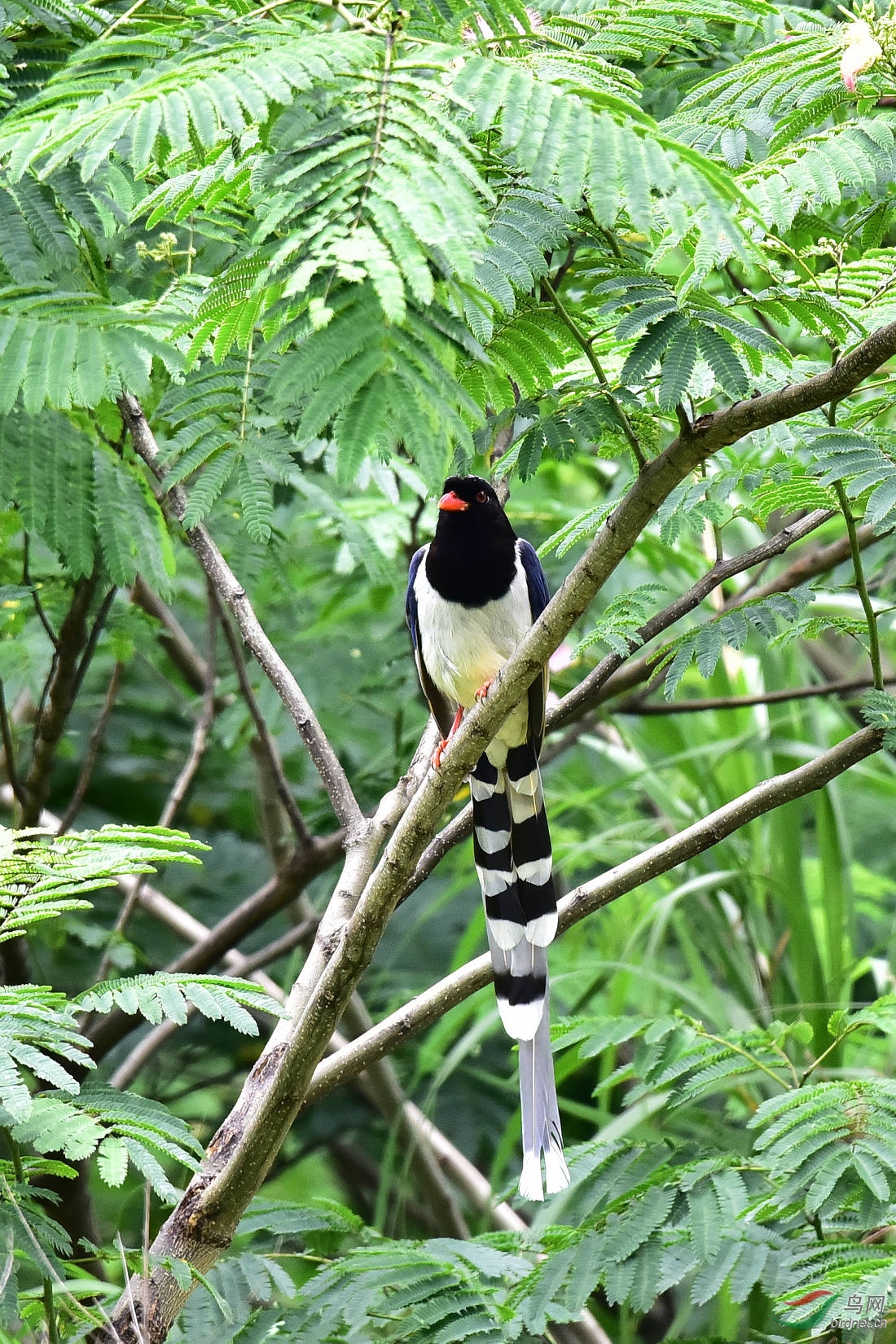 DSC_0740.JPG