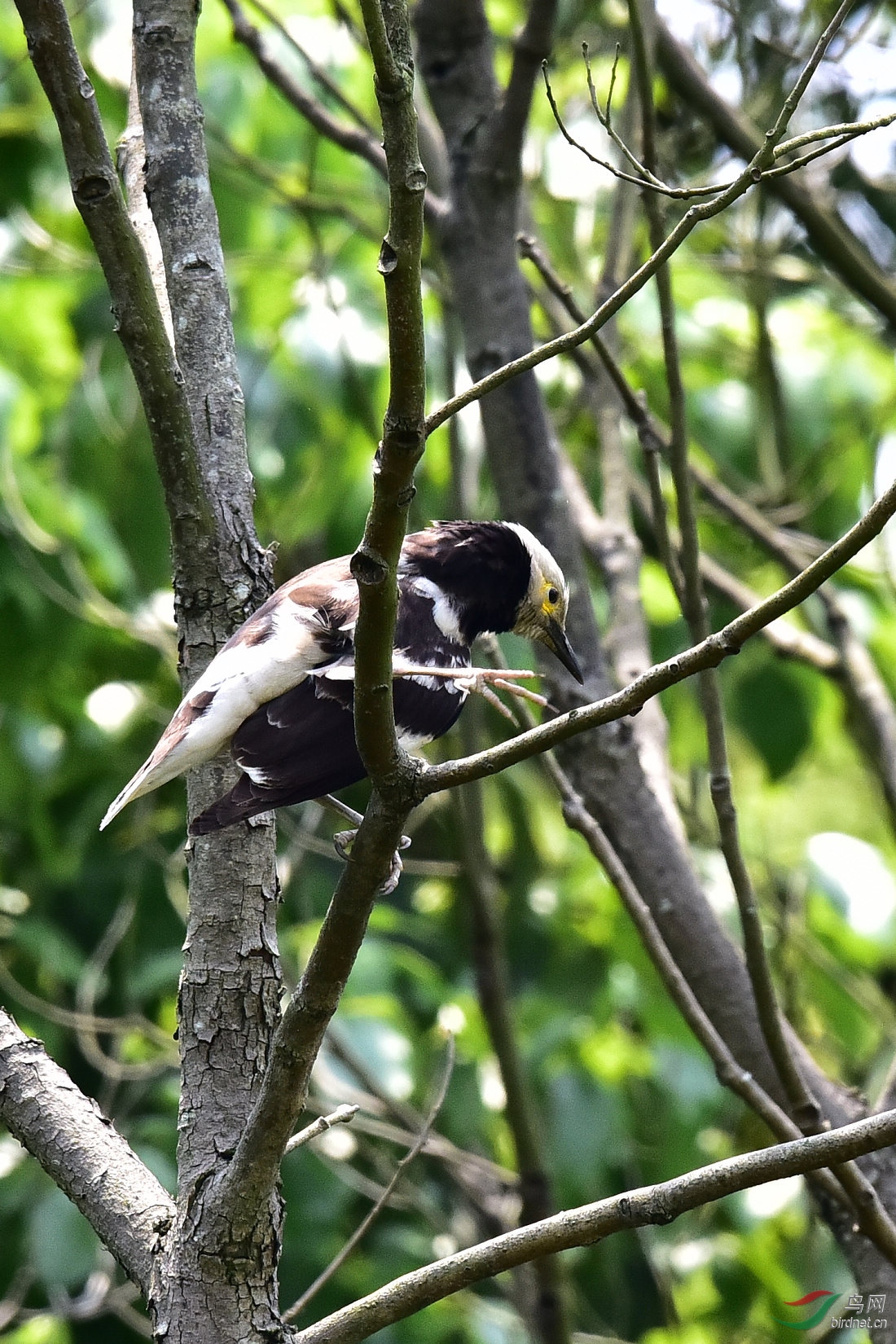 DSC_0319.JPG