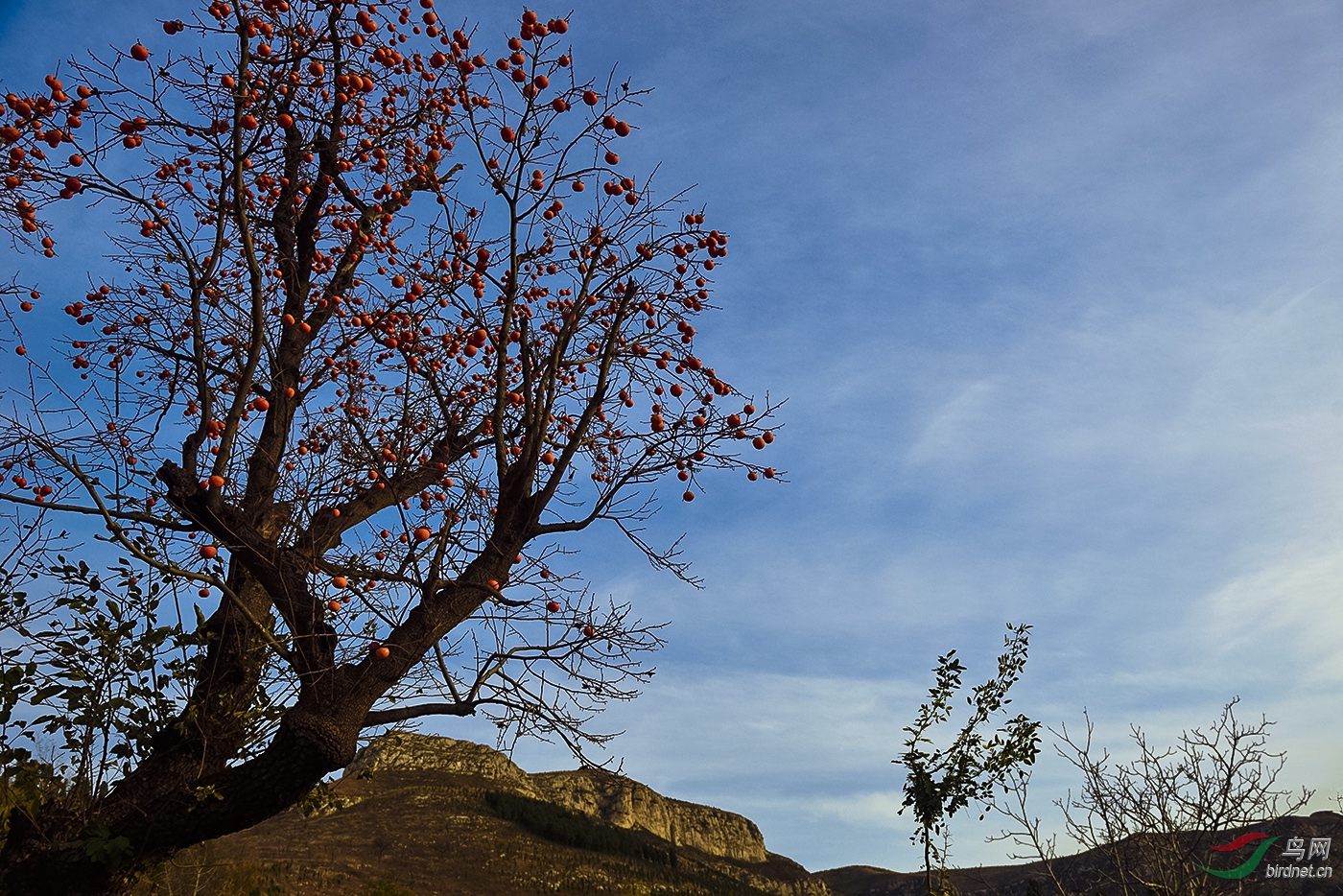_D8A2322_13052a.jpg