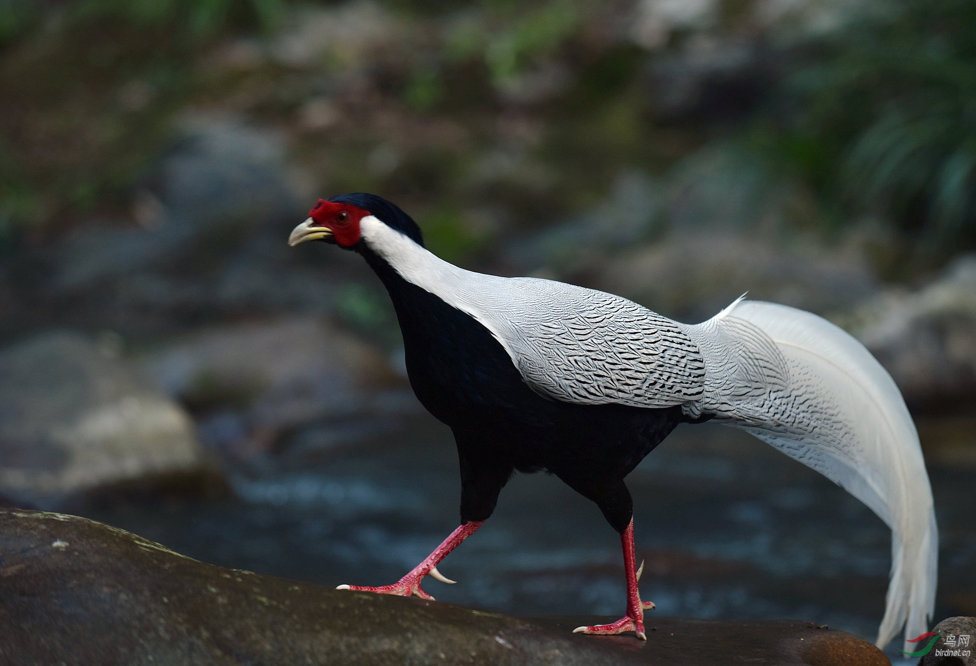 D8I_1302.jpg