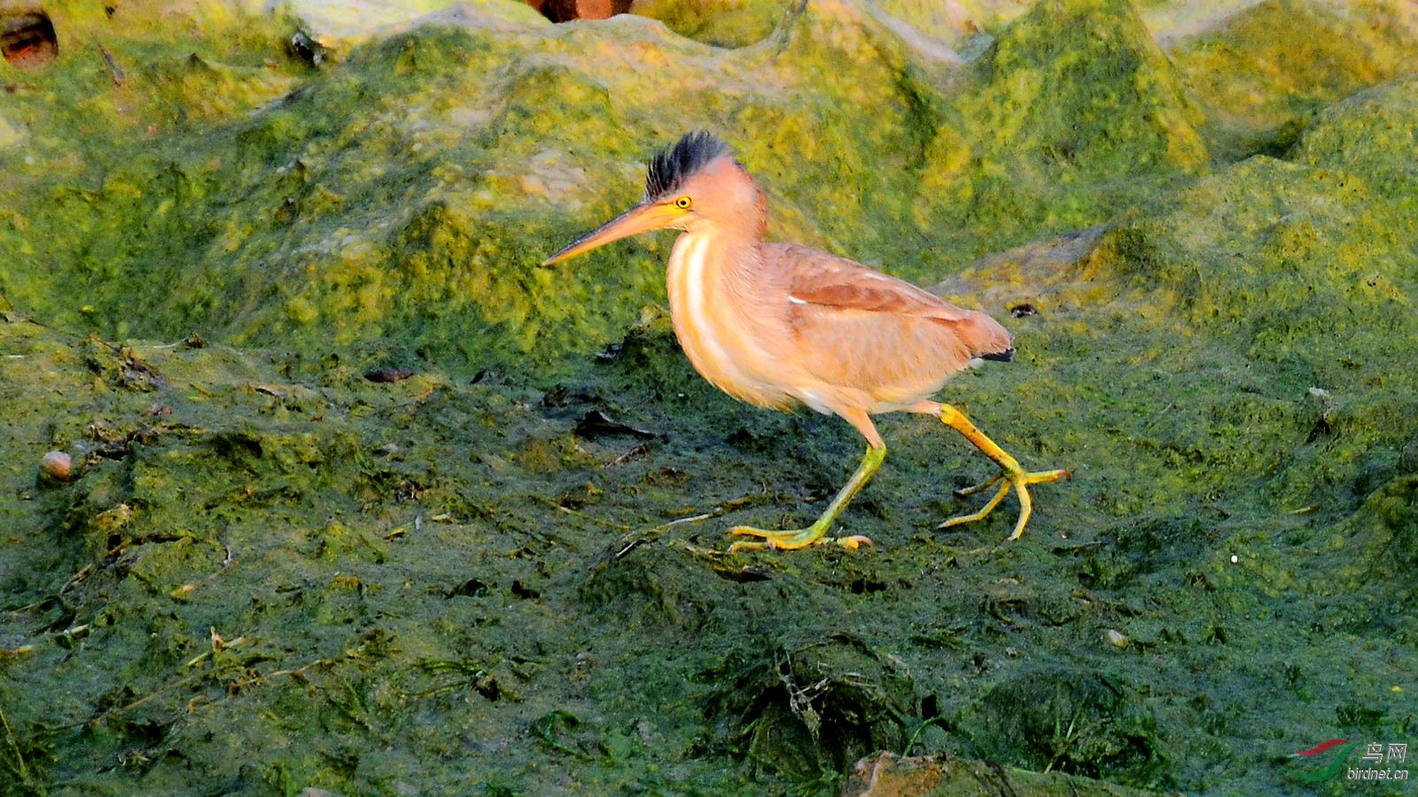 DSC_6379.JPG