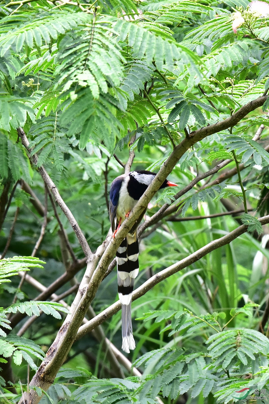 DSC_0741.JPG