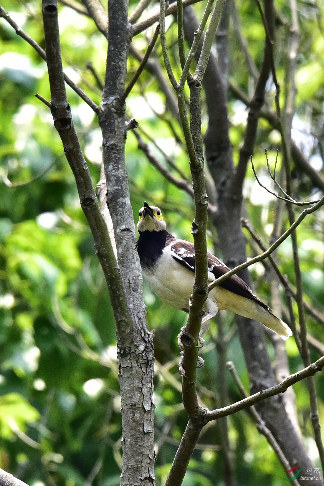 DSC_0322.JPG