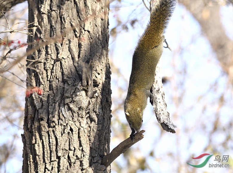 _DSC6557_00001_����.jpg