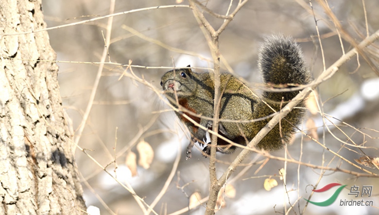 _DSC6553_00001_����.jpg