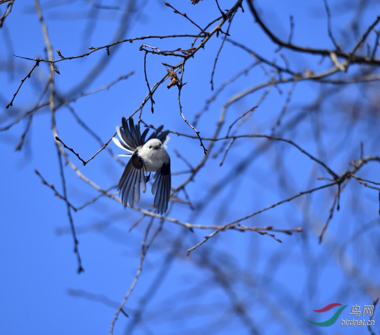 _DSC6308_00001_����.jpg