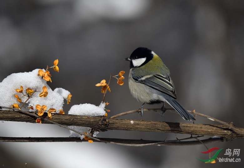 _DSC5979_00001_����.jpg