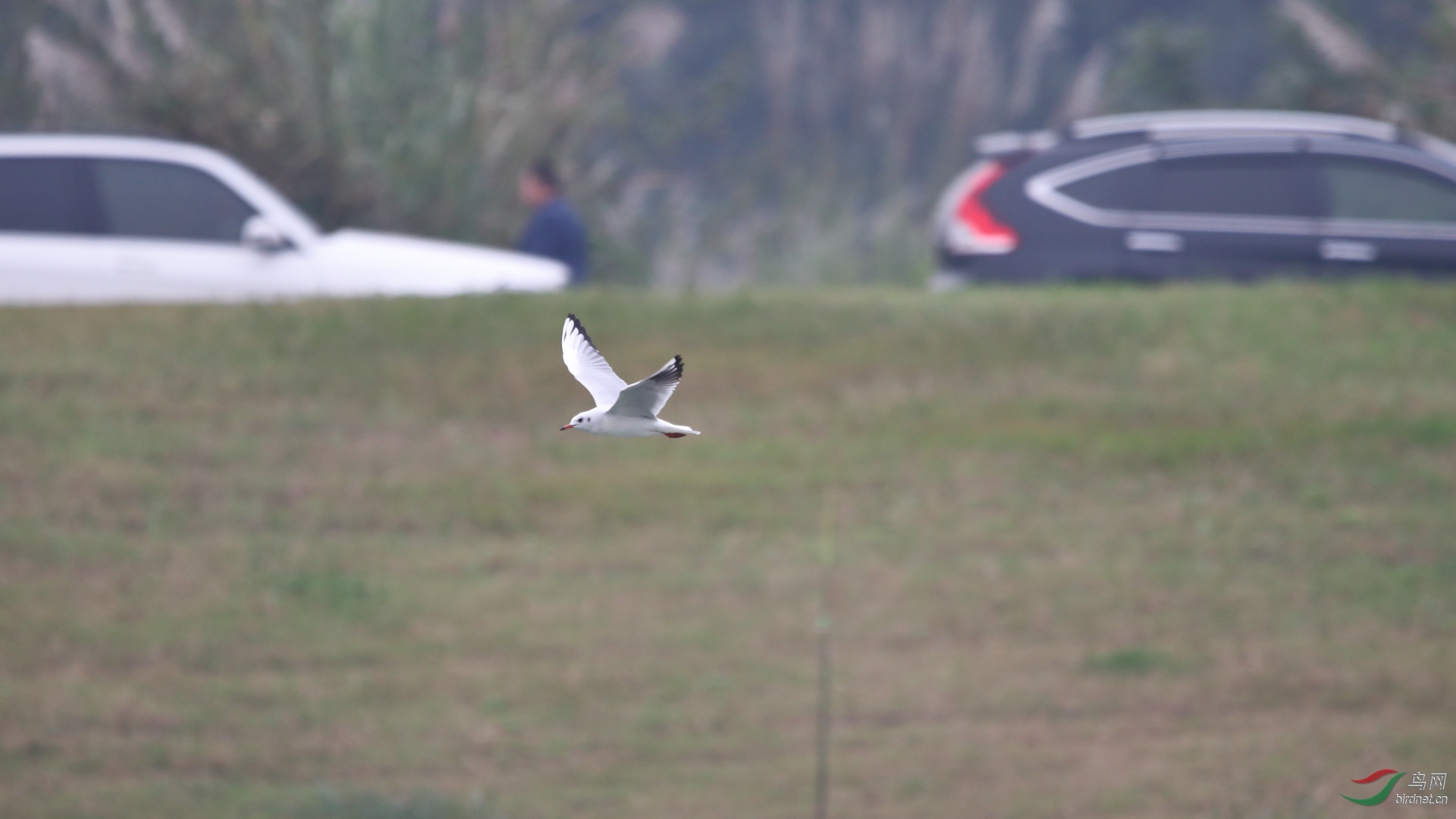 IMG_1213.JPG