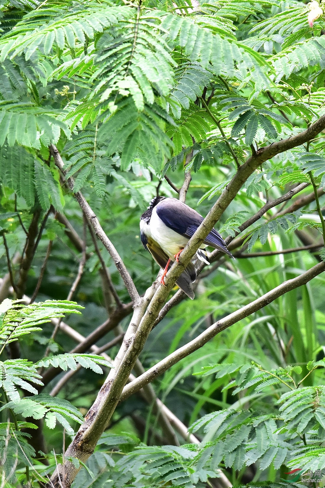 DSC_0744.JPG