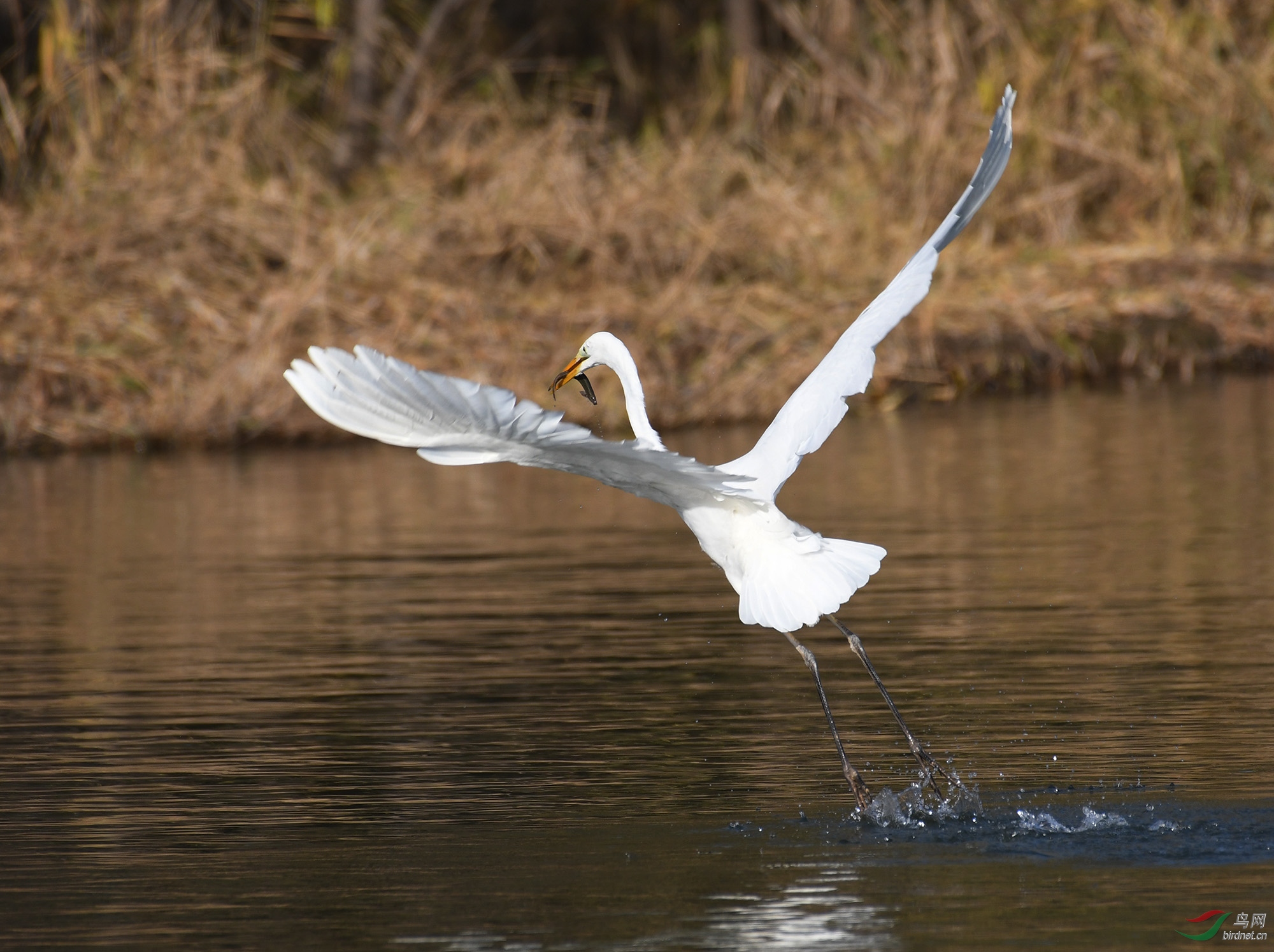 ������Ӱ 066����.jpg