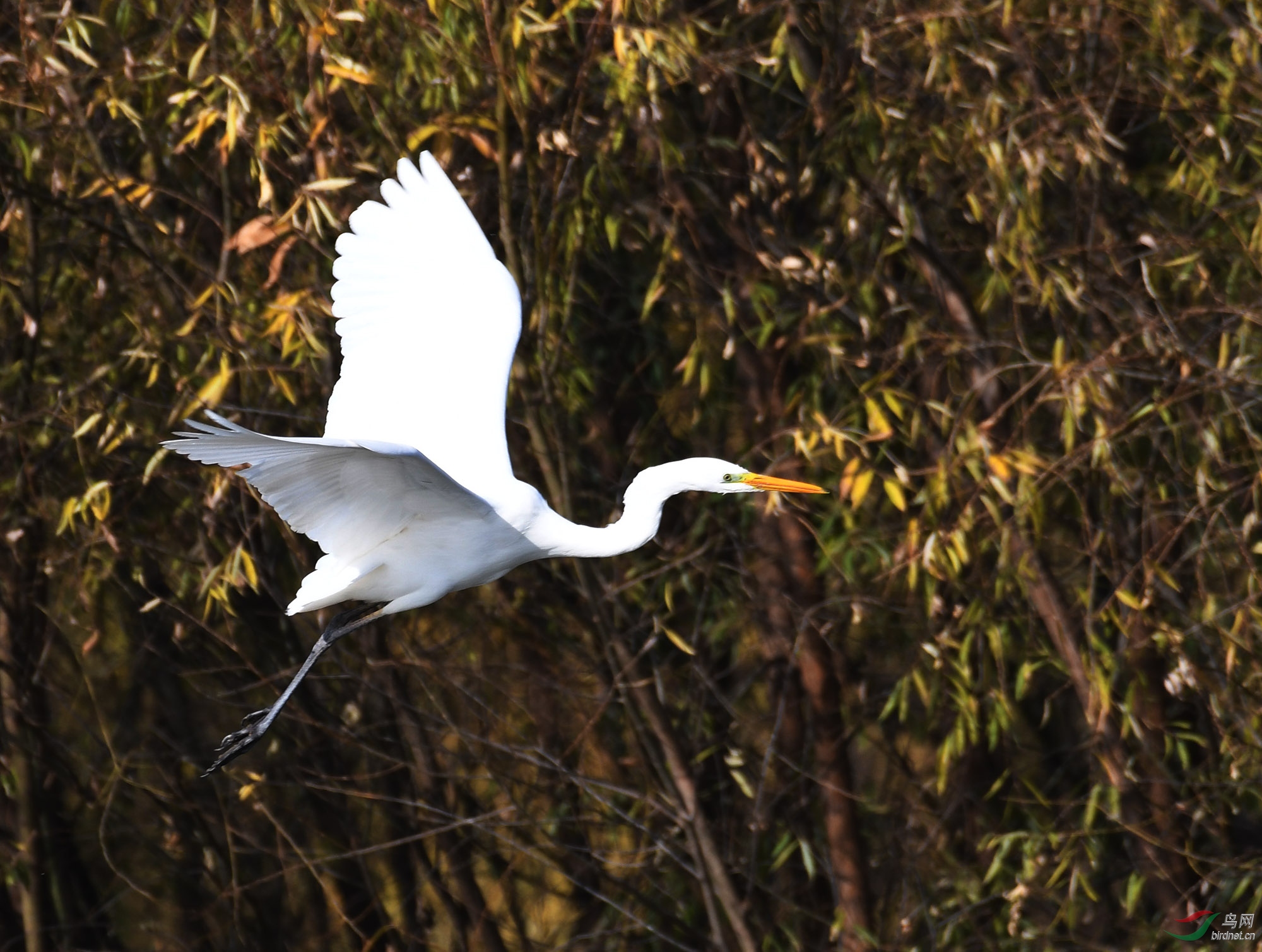 ������Ӱ 2210����.jpg