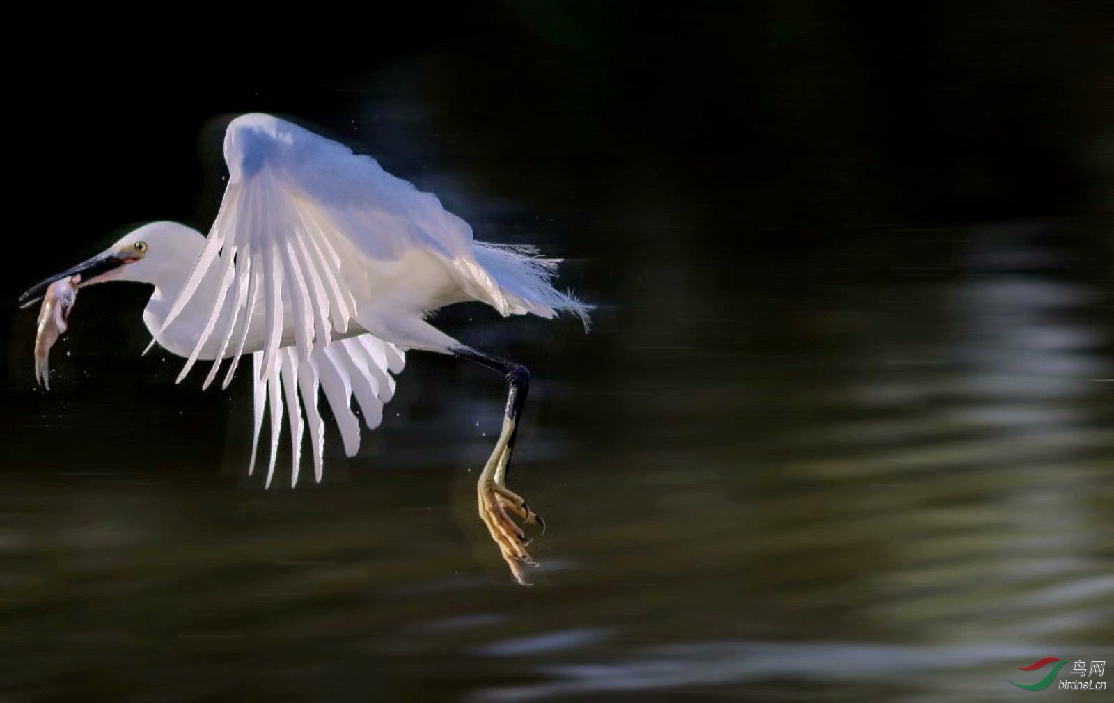 3D0482DE-C128-4A62-86B6-02806E57B5BC.jpeg