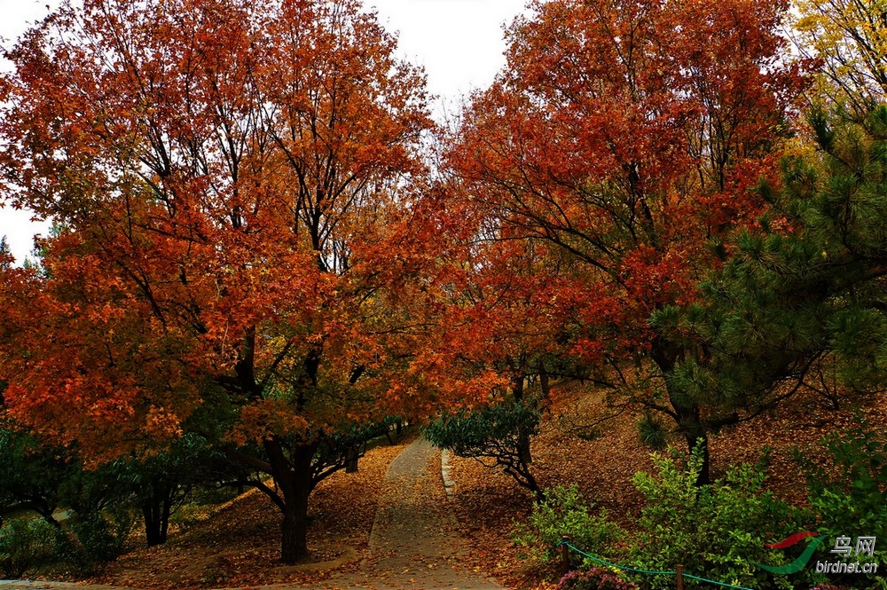 DSC01974 - ����.JPG