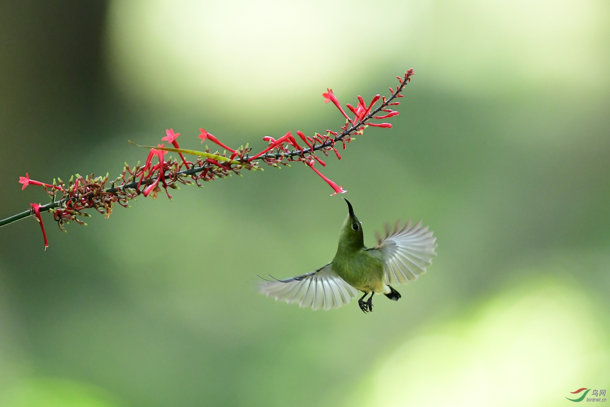 111.jpg