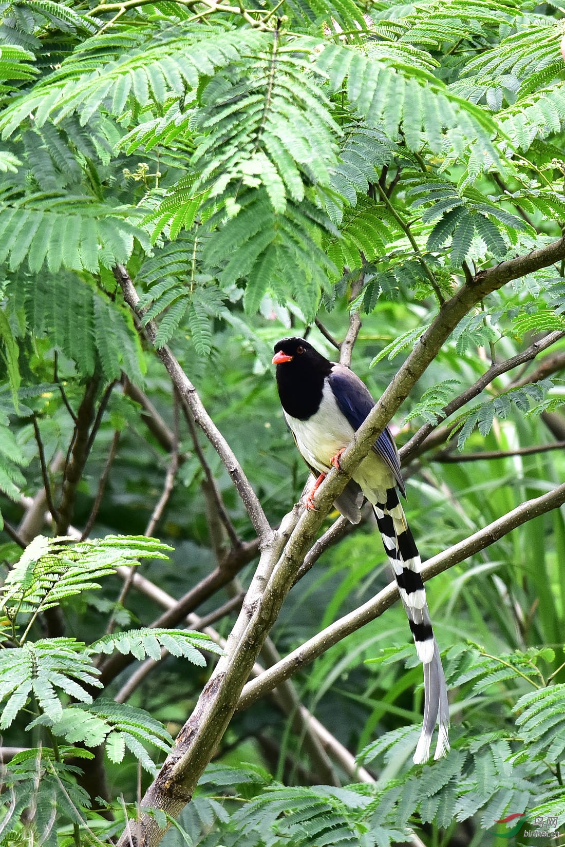 DSC_0746.JPG