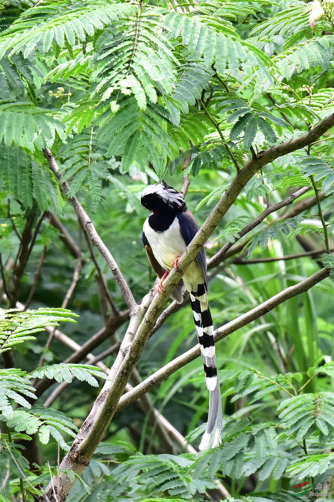DSC_0747.JPG