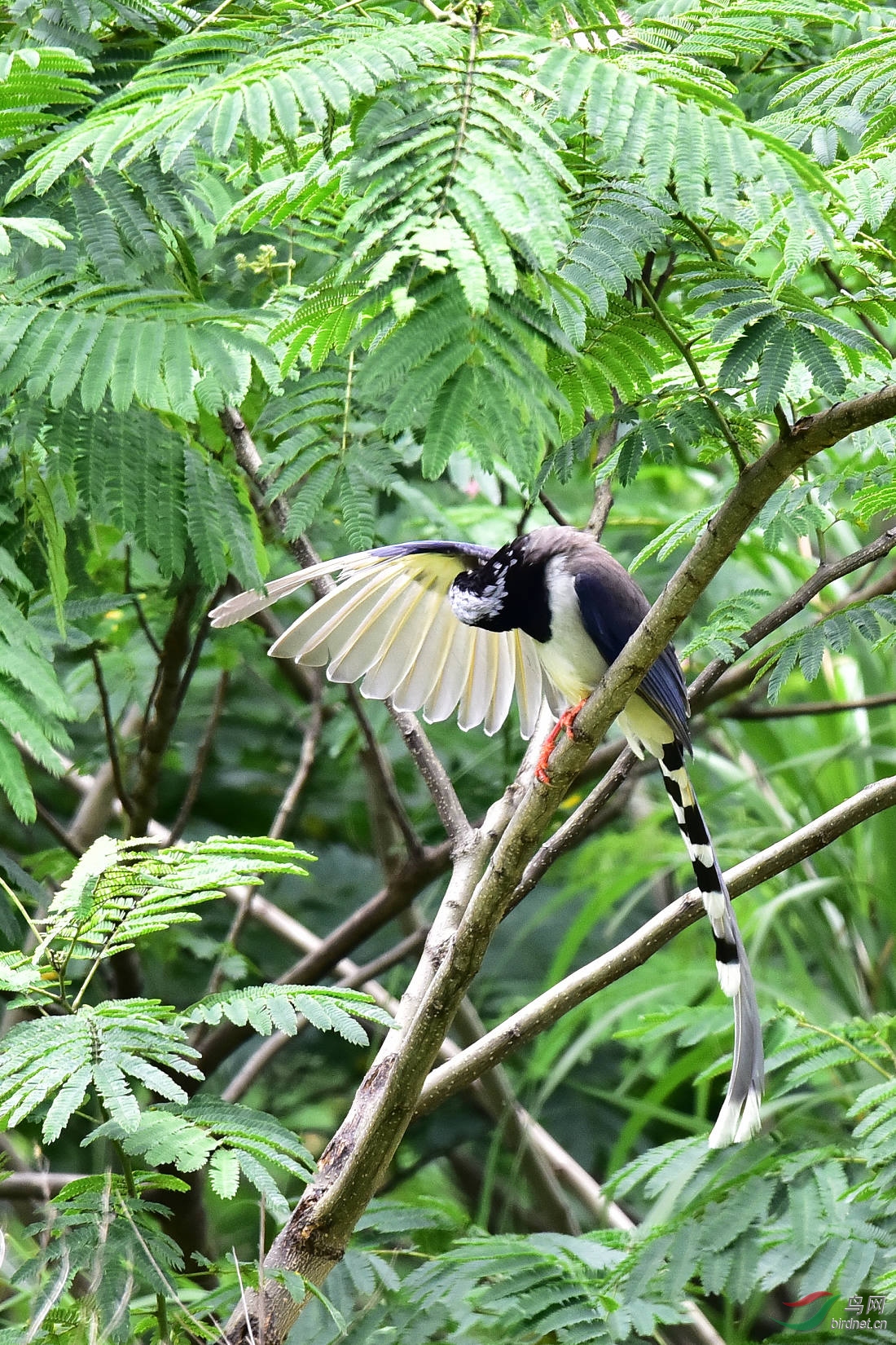 DSC_0748.JPG