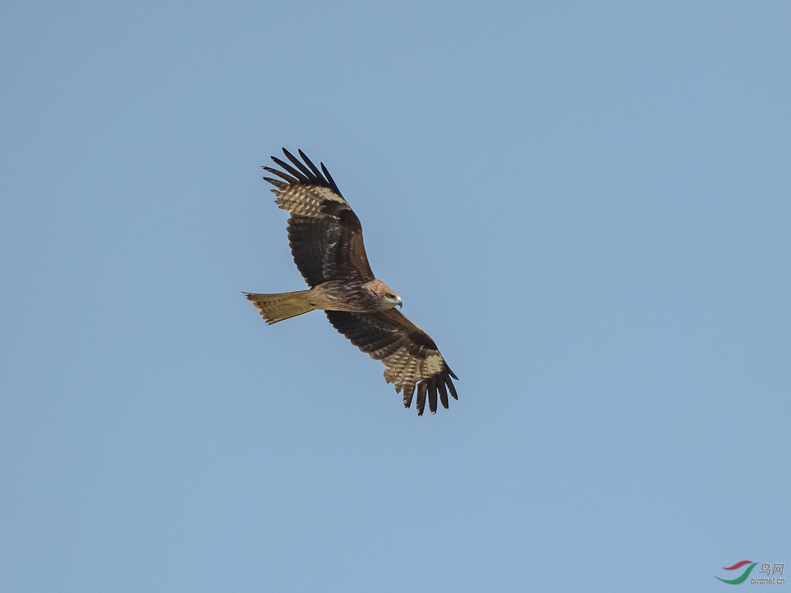 _DSC6277.jpg