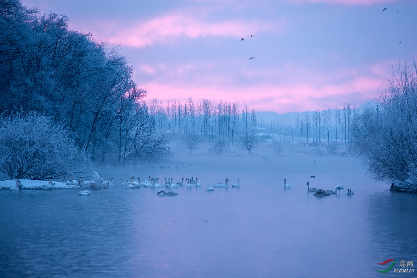 DSC_0253A.jpg