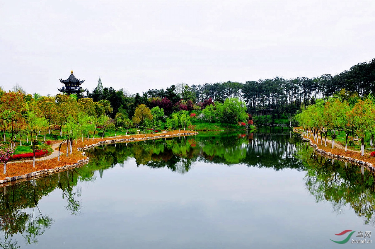 YJC_5008.JPG