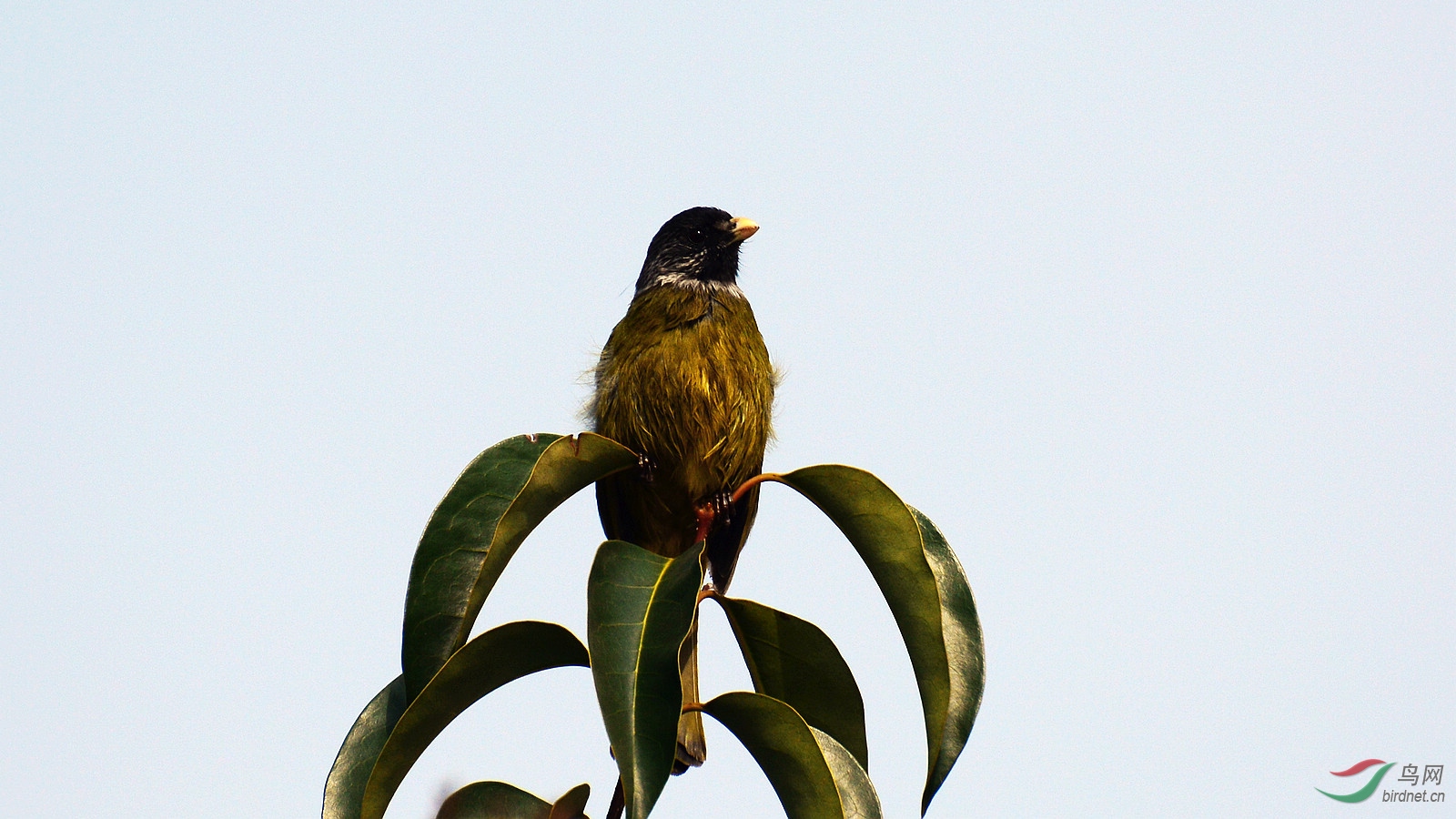 DSC_1422.JPG