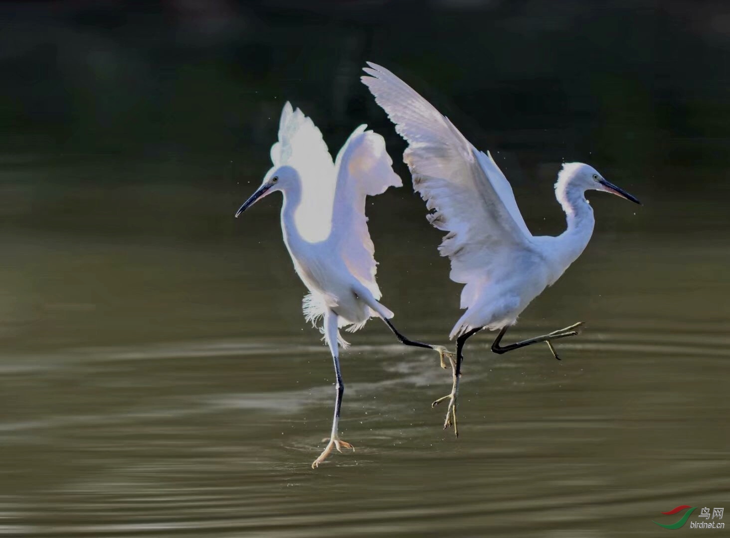 E1C24778-9079-42A3-B6B5-C9C5F9108099.jpeg