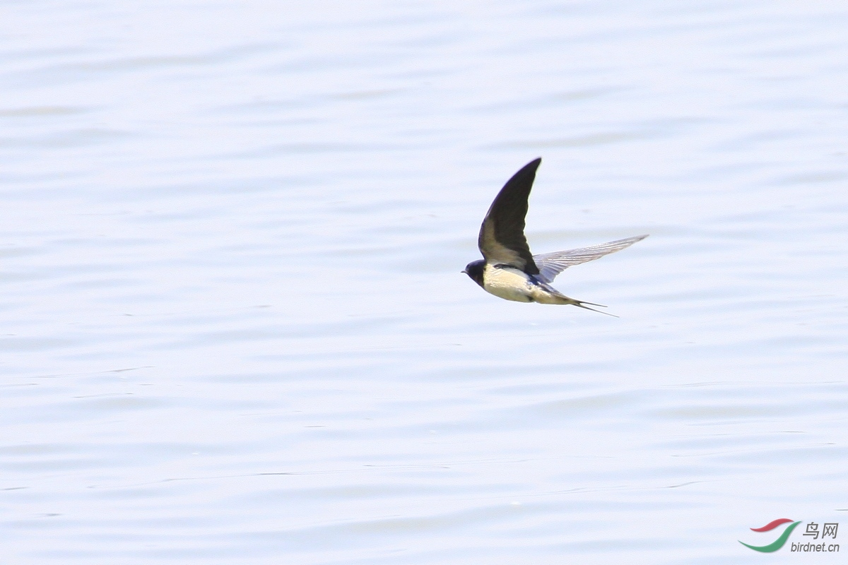 ʲô��4 _MG_5677.JPG