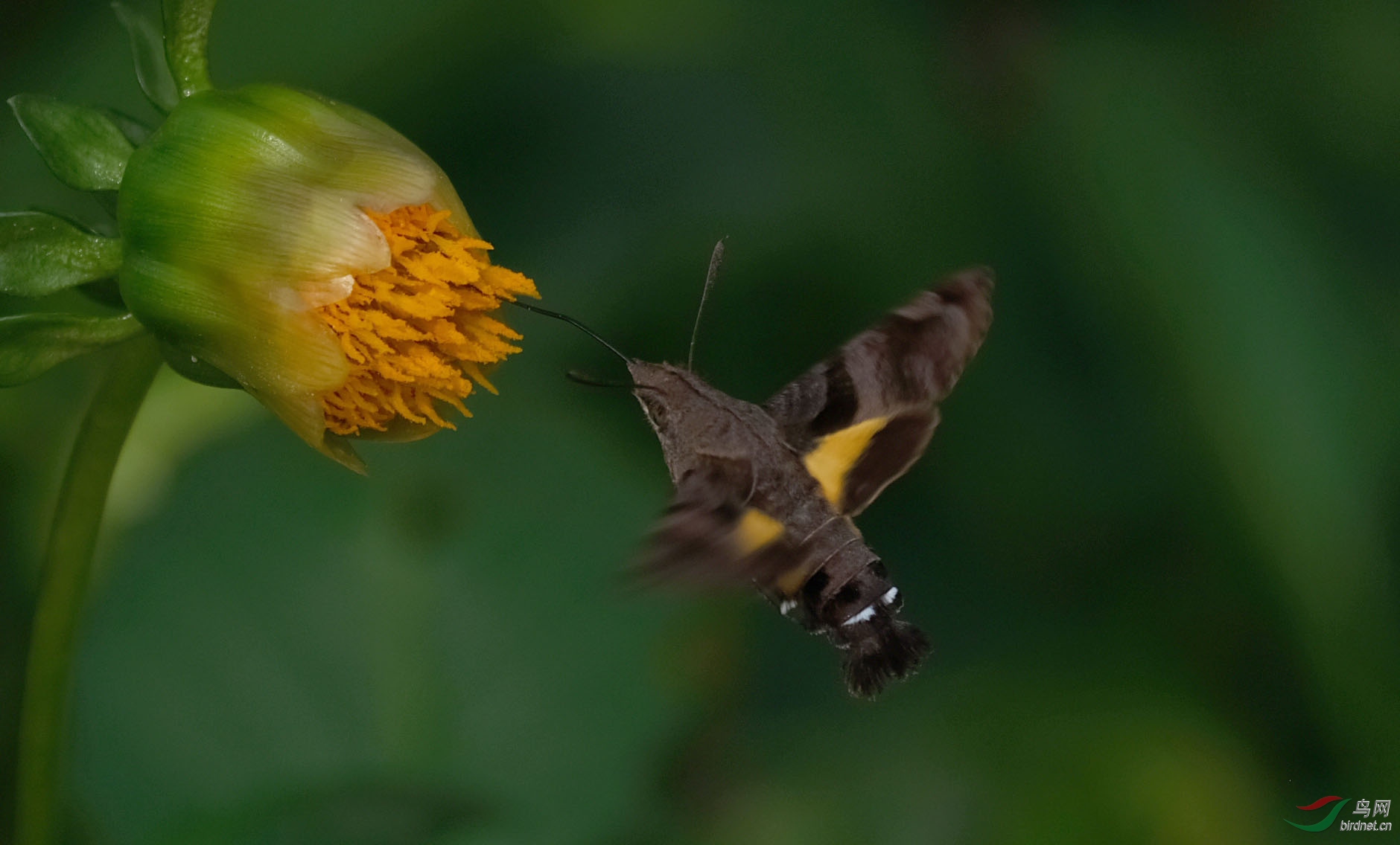 DSCF6612.JPG