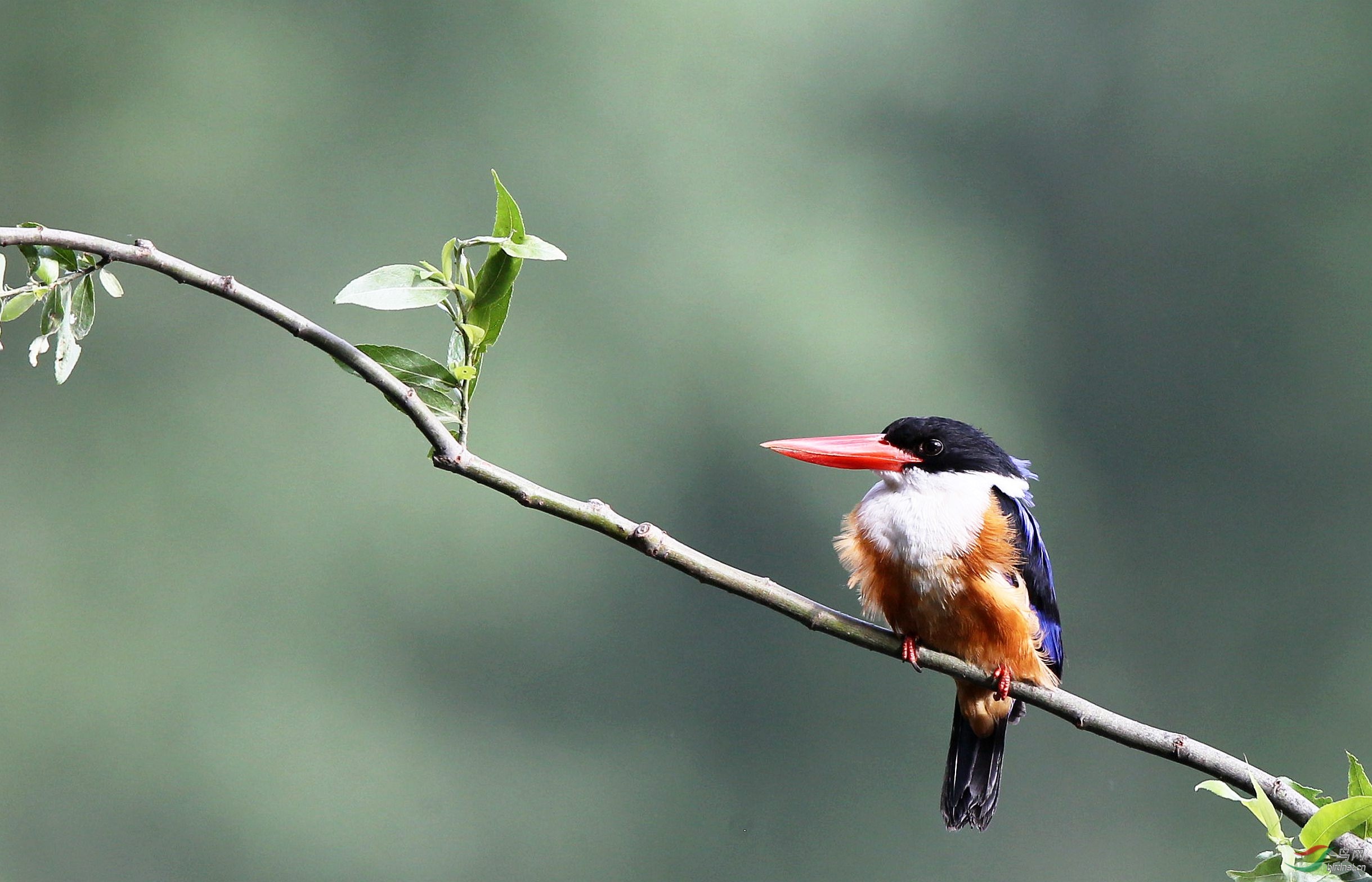 H46R2814_���� (2).jpg