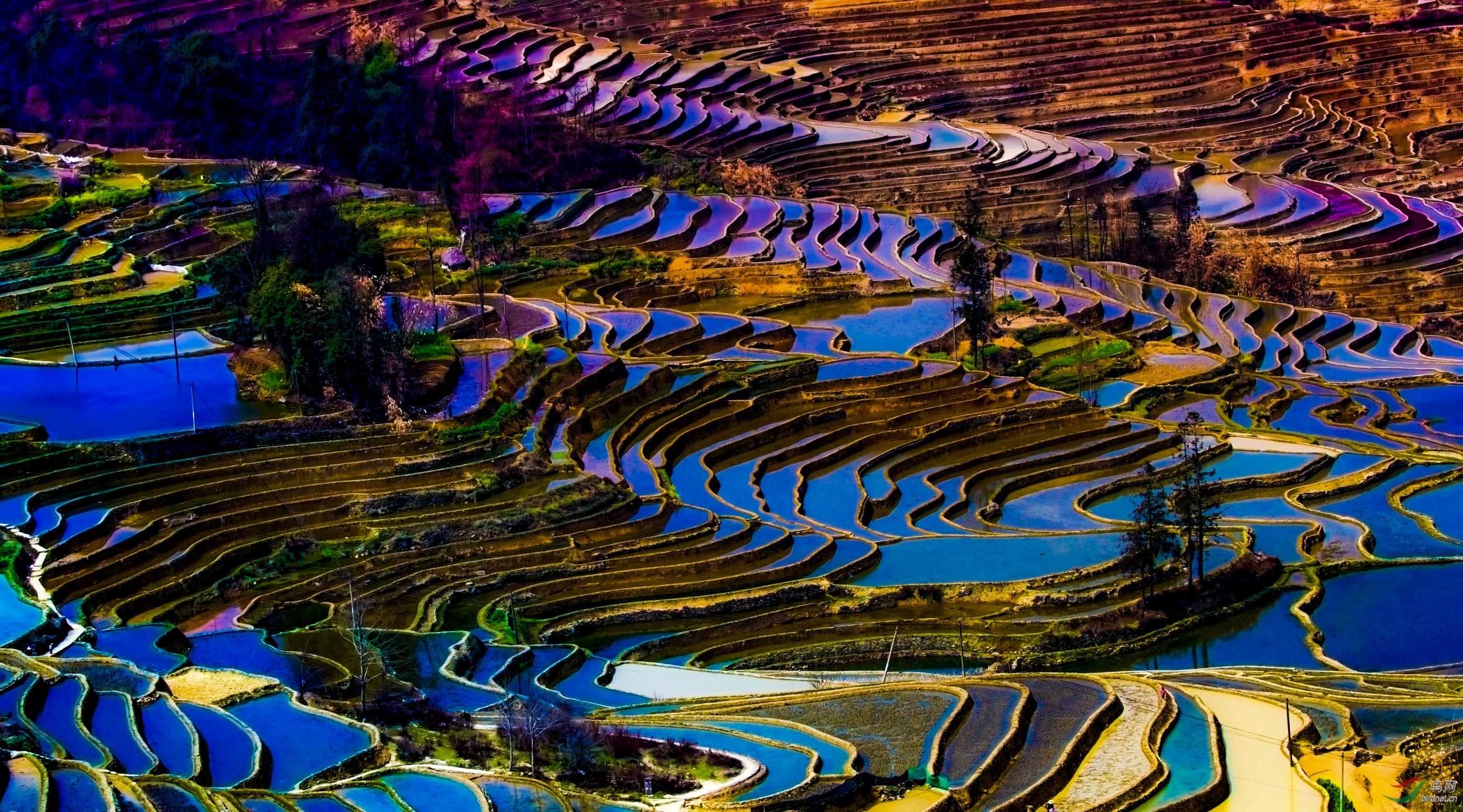 多彩梯田(祝贺佳作荣获首页精华)