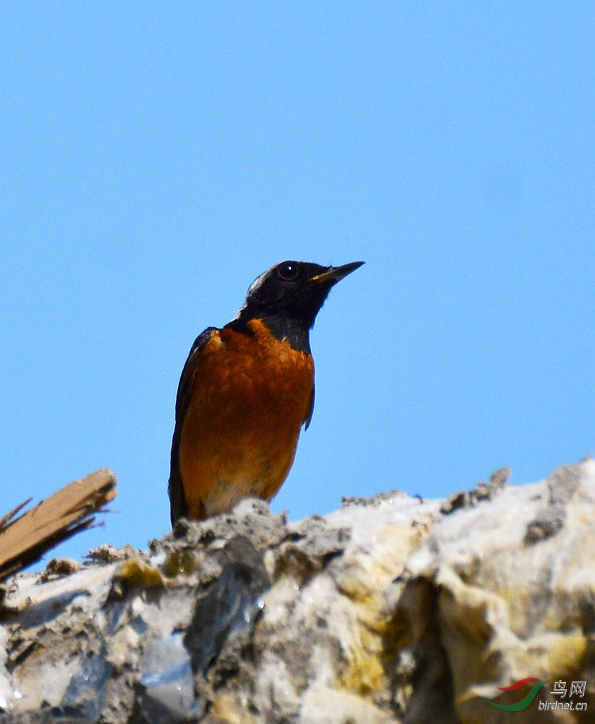 DSC_8669.JPG