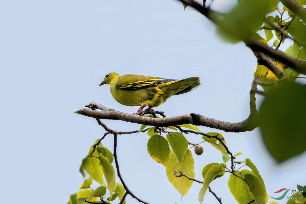 _DSC9355ab.jpg