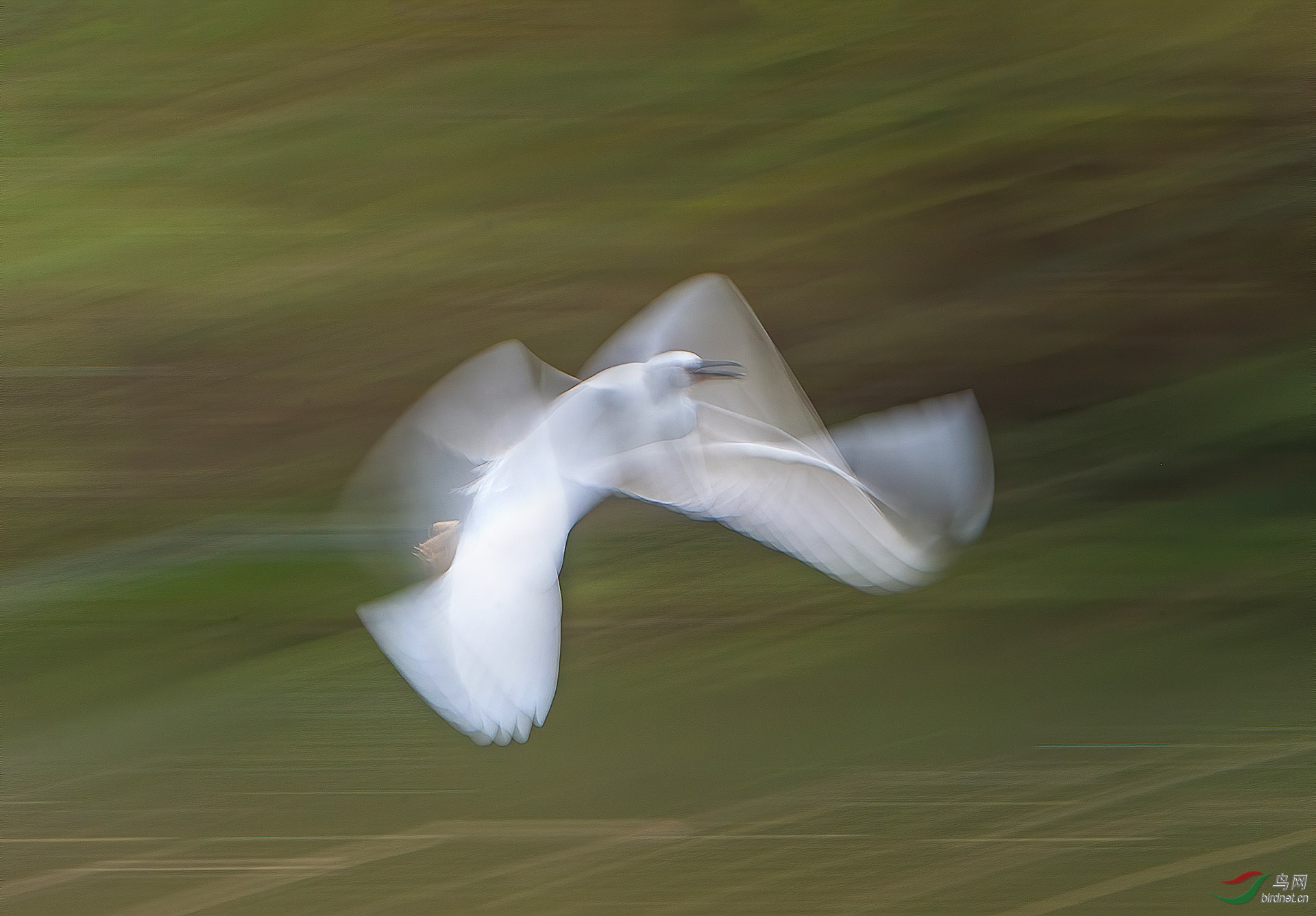 DSC_8515.jpg
