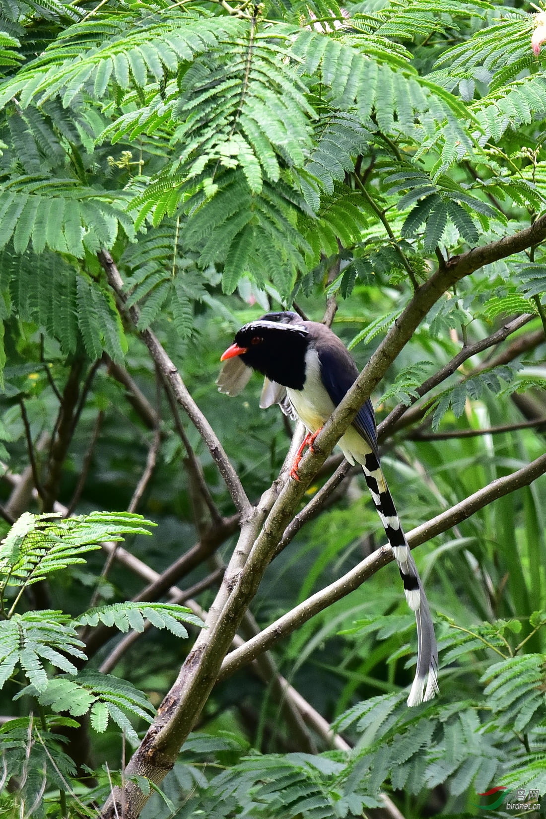 DSC_0749.JPG
