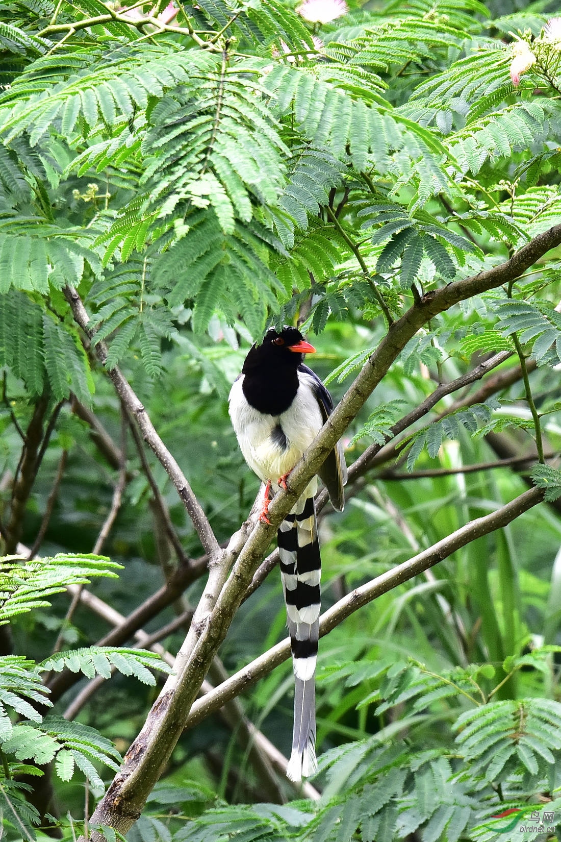 DSC_0750.JPG